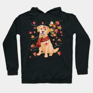 Maple Dog Leaf Fall Hello Autumn Funny Labrador Lover Hoodie